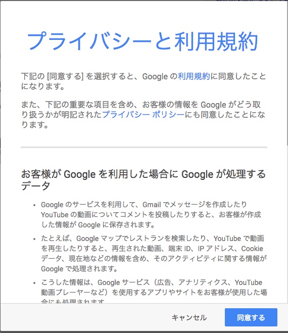 プライバシーと利用規約をよーく読んで、同意するなら「同意する」へ